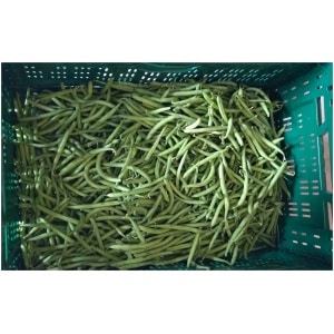 Sperziebonen (250gr)