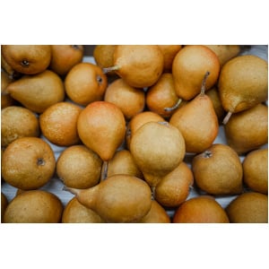 Stoofperen (1kg)