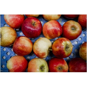 Appel 'Natyra' (1kg)