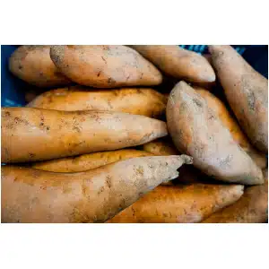 Zoete Aardappel (1 kilo)