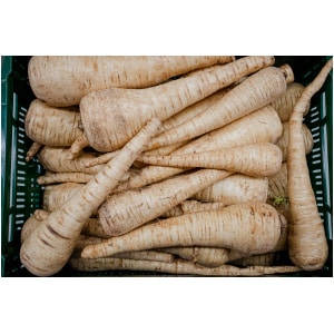 Pastinaak