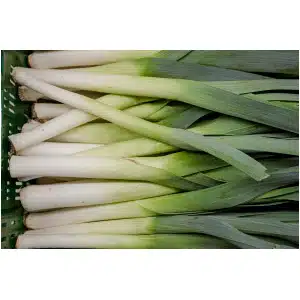 Prei (500gr)