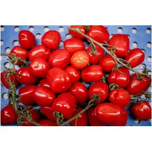San-Marzano tomaat (250 gr)