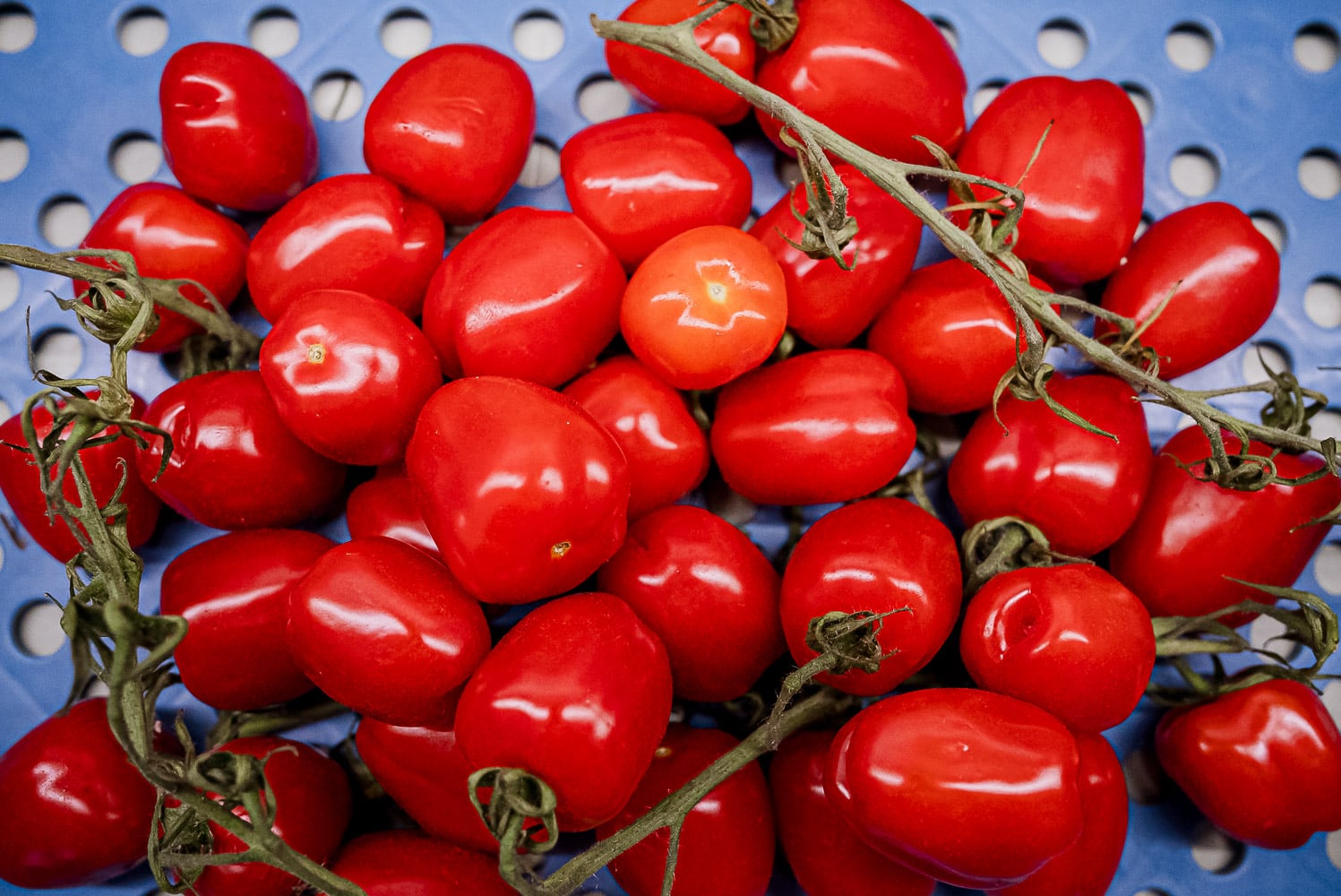 San-Marzano tomaat (250 gr)