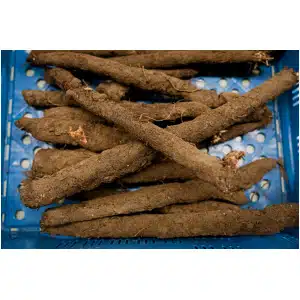 Schorseneren (500 gr)