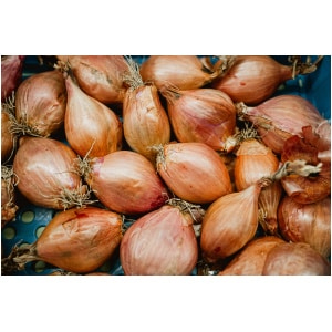 Sjalotjes banaan (250 gr)