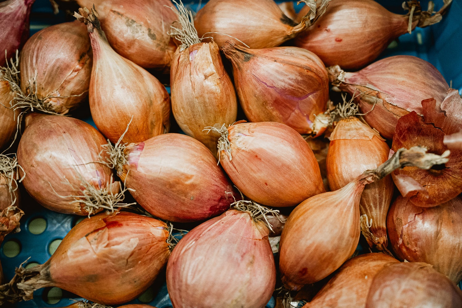 Sjalotjes banaan (250 gr)