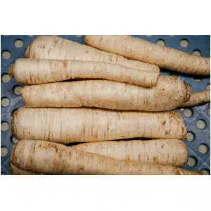 Wortelpeterselie (500 gr)