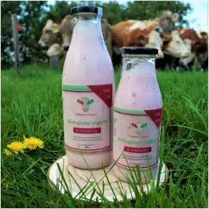 Yoghurt bessen (1 liter)