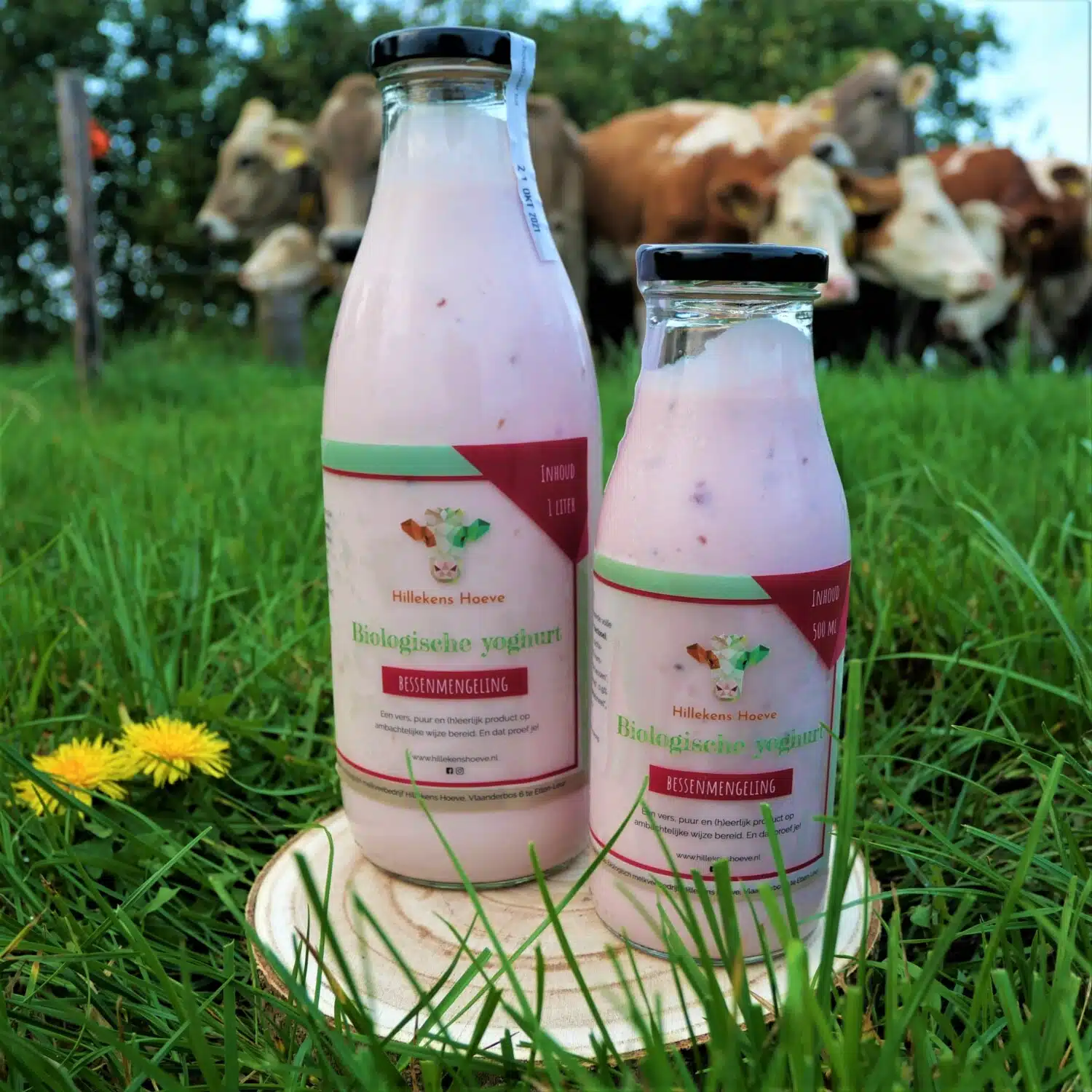 Yoghurt bessen (1 liter)