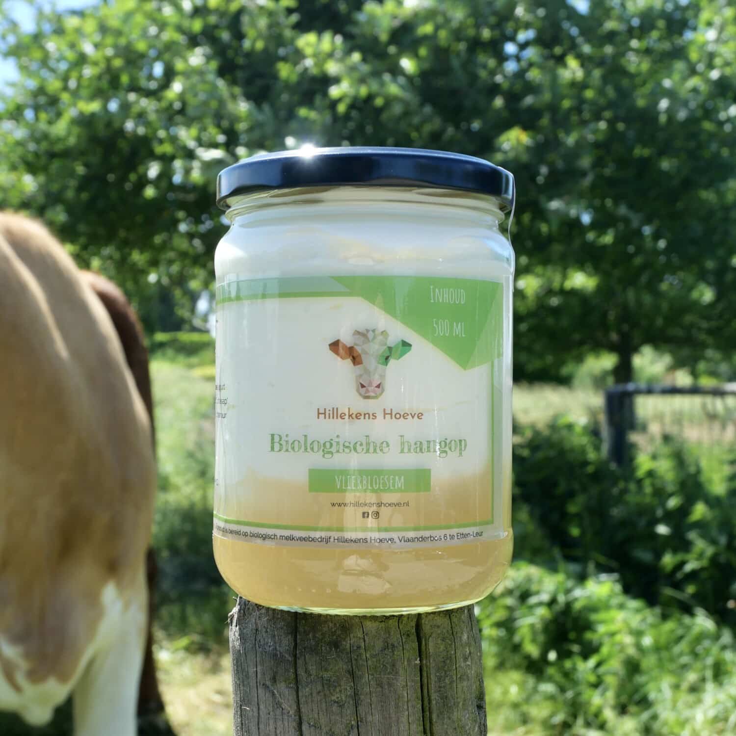 Hangop vlierbloesem (500 ml)