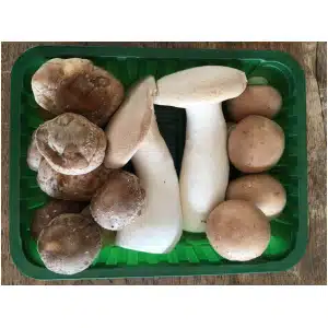 Paddestoelenmix (150 gr)