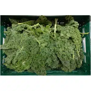 Boerenkool (300 gr)