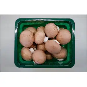 Kastanjechampignons