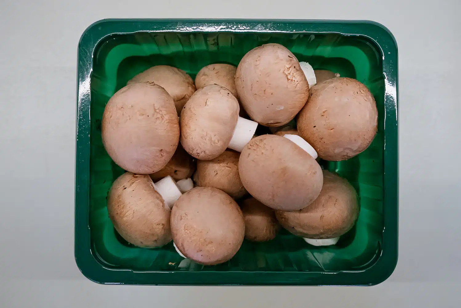 Kastanjechampignons