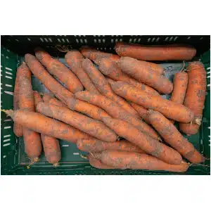 Waspeen (1 kg)