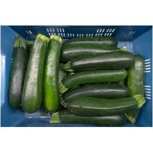 Courgette (stuk)