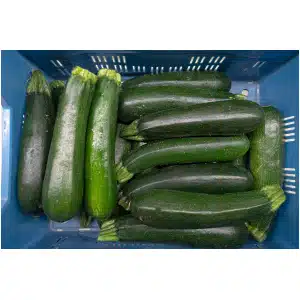 Courgette Groen