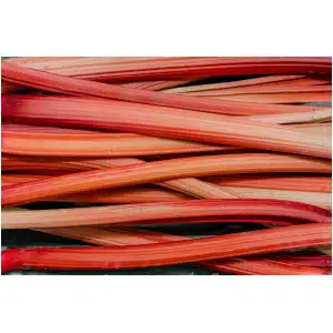 Rabarber (500 gr)