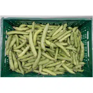 Tuinbonen (1 kilo)