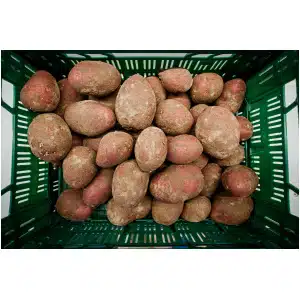 Alouette (1 kg)