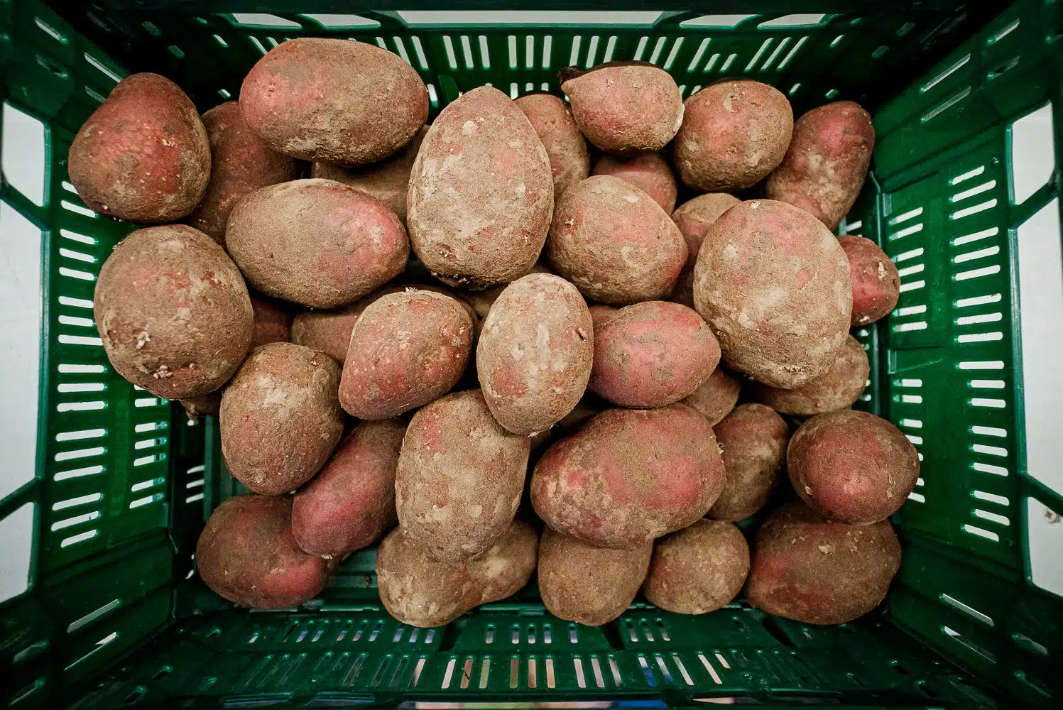 Alouette (1 kg)