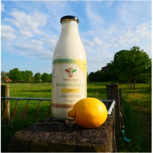 Yoghurt citroen (1 liter)