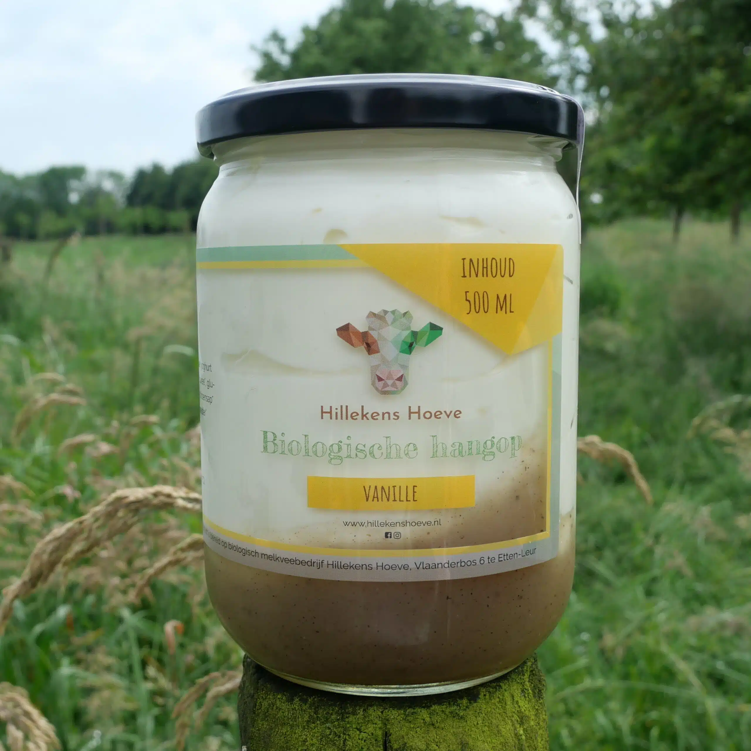 Hangop vanille (500 ml)